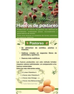 HUEVOS DE PASTOREO