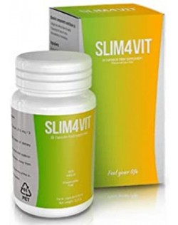 SLIM4VIT